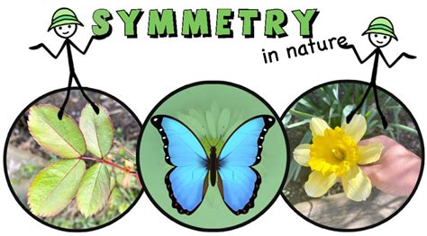symmetry real money|Symmetry .